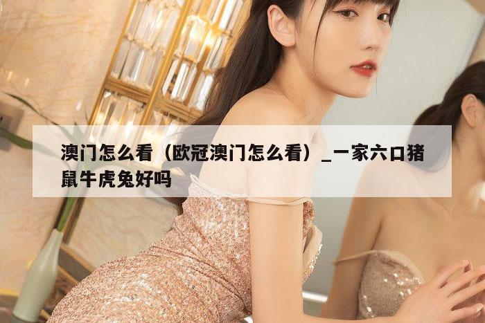 澳门怎么看（欧冠澳门怎么看）_一家六口猪鼠牛虎兔好吗